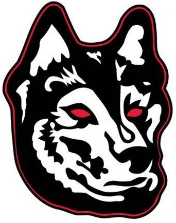 Northeastern Huskies 2007-Pres Alternate Logo v2 iron on transfers for fabric